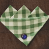 Green Gingham Pocket Hankie