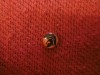 Trojan Head Black And Orange Background 10Mm Pocket Hankie Pin