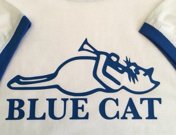 Blue Cat - Soul