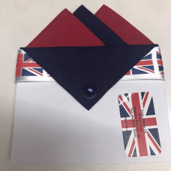 Blue Navy And Cherry Red Pocket Hankie With Navy Flap And Pin
