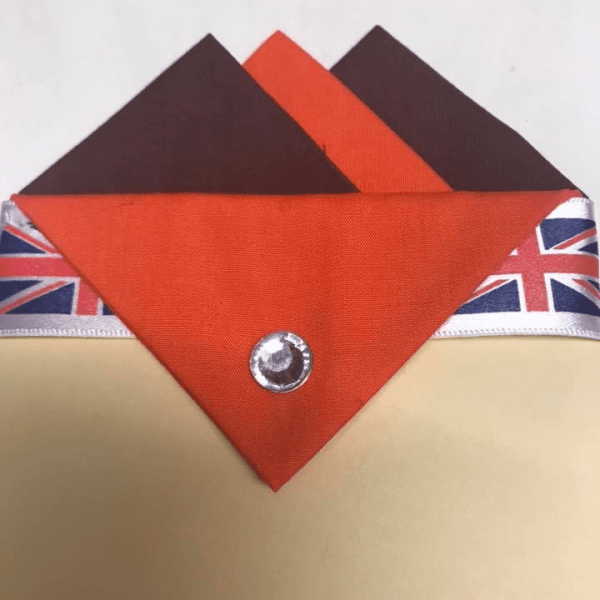 Brown & Orange Pocket Hankie With Orange Flap & Pin