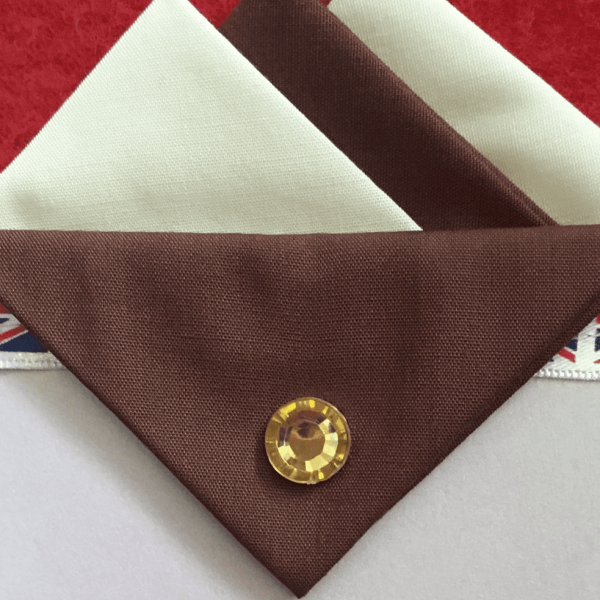 Cream And Brown Hankie With Brown Flap And Pin
