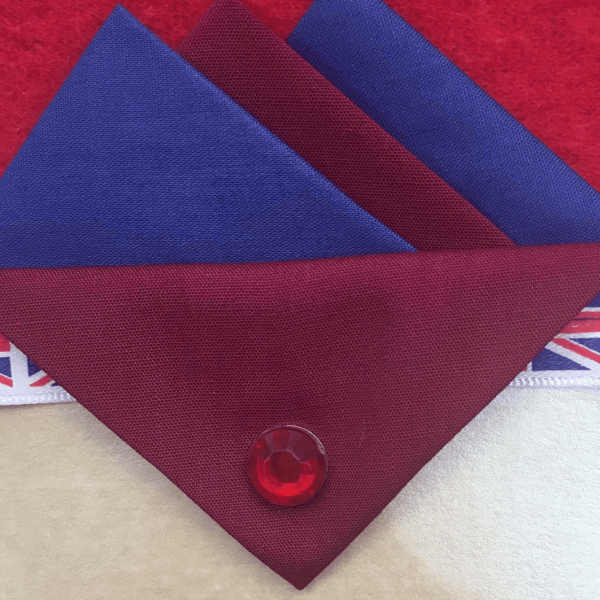 Dark Blue And Burgundy Hankie With Burgundy Flap And Pin