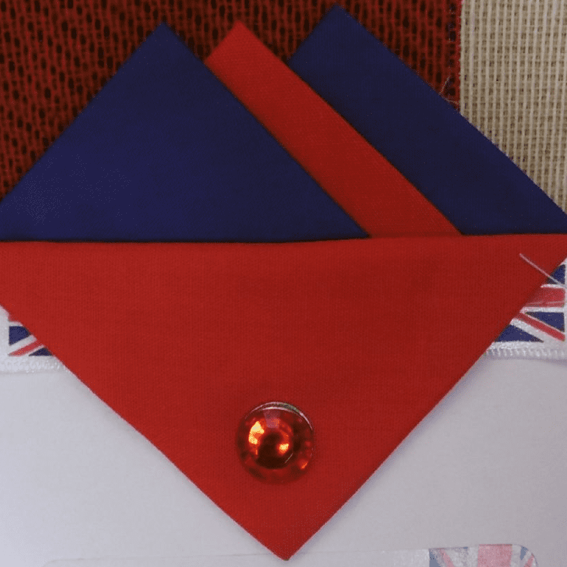 Navy Blue And Red Hankie With Red Flap And Pin