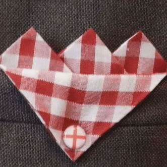 Red Gingham Pocket Hankie With St. Georges Cross Pin