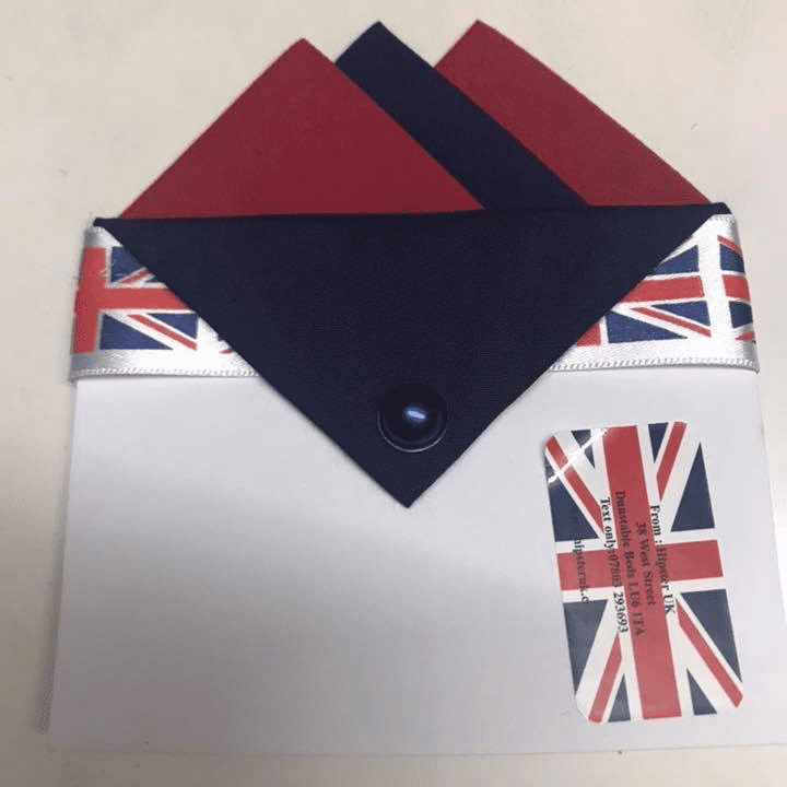 Red & Navy Blue Pocket Hankie With Navy Blue Flap & Pin