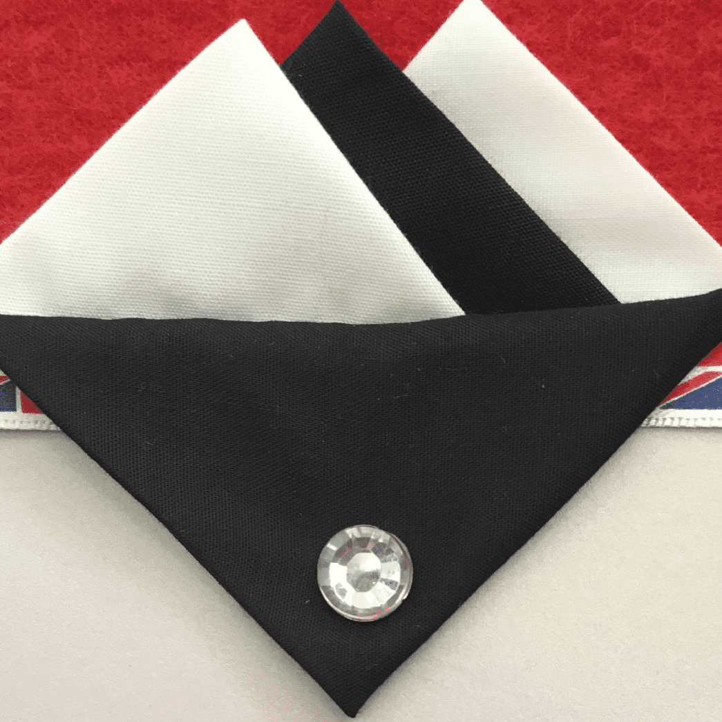 White And Black Hankie With Black Flap And Pin
