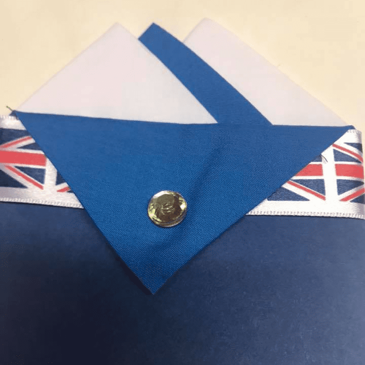 White & Blue Pocket Hankie With Blue Flap & Pin