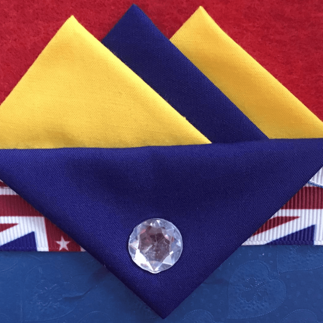 Yellow And Blue Hankie With Blue Flap And Pin