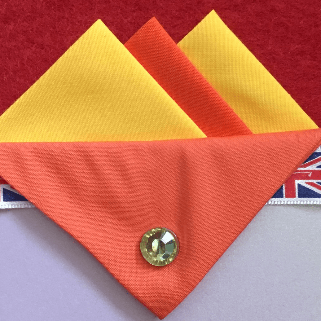 Yellow And Orange Hankie With Orange Flap And Pin
