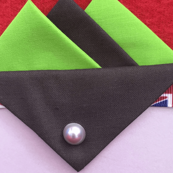 Lime Green And Brown Hankie With Brown Flap And Pin