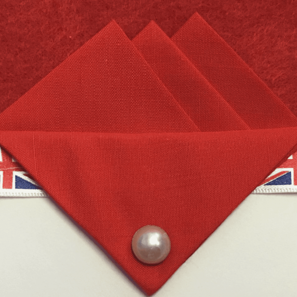 Red Three Point Pocket Hankie & Pin